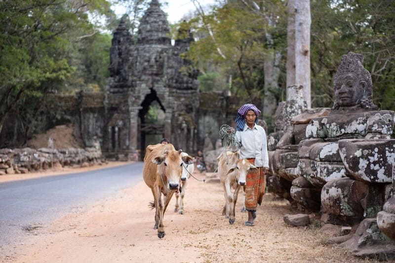 Siem Reap est une ville agréable