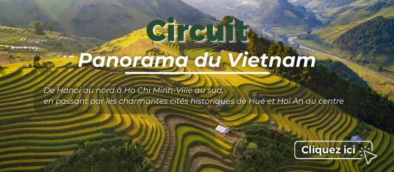circuit vietnam
