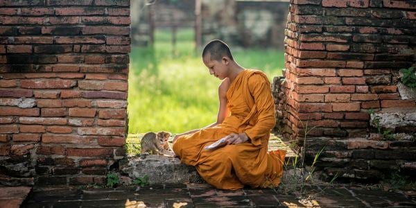 Combinés avec Cambodge