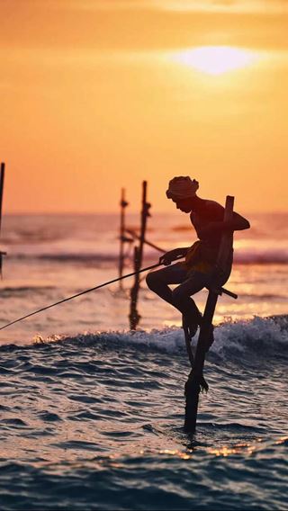 Le Sri Lanka