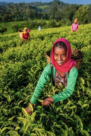 Le Sri Lanka