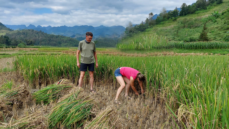 Ce nest pas un travail facile... mais cest aussi plein de rires ! - novembre 2024
