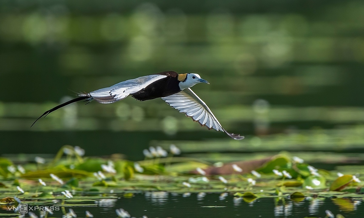 Van Long Ninh Binh : Guide COMPLET pour un voyage tranquille