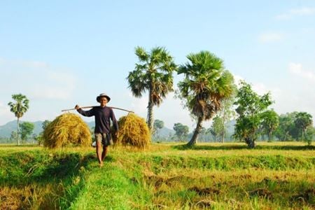 An Giang, aperçu des terres frontalières tranquilles du Delta du Mékong