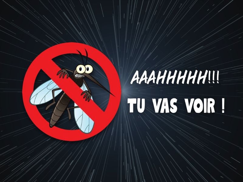 Anti-moustique Thaïlande : Guide complet pour se protéger lors de votre séjour