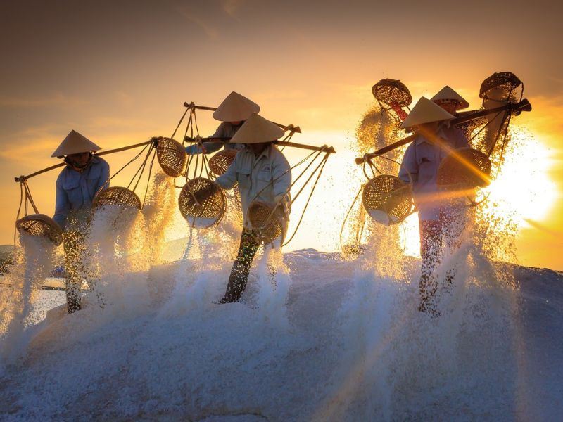 La beauté des marais salants de Hon Khoi