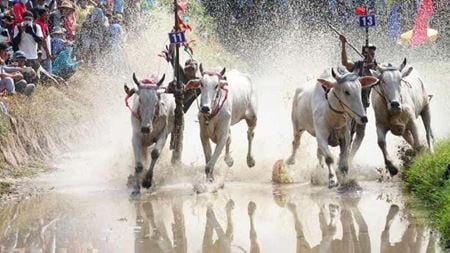 Top 10 fêtes au Vietnam et des festivals culturels emblématiques 