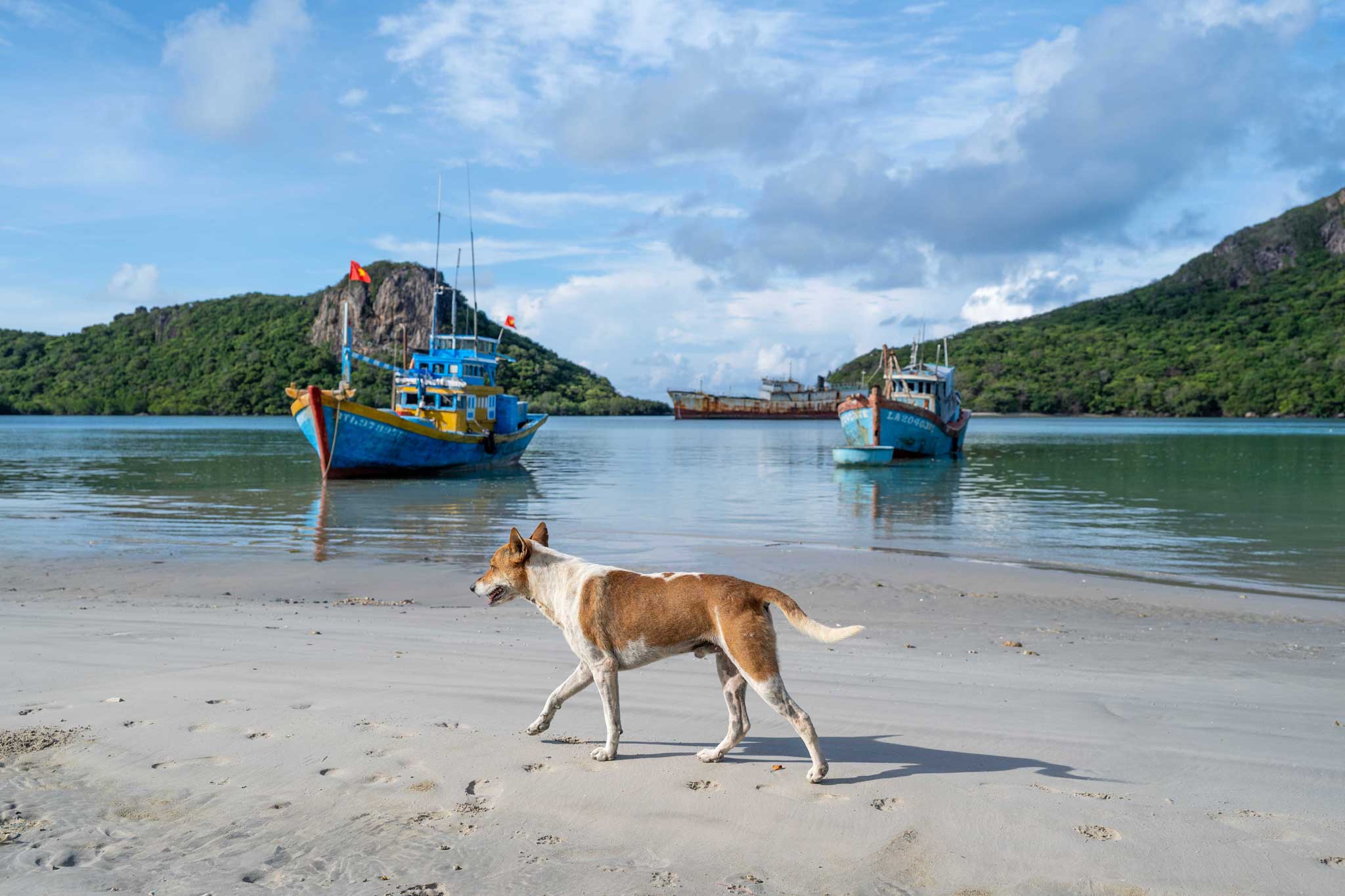 Panorama des plus beaux paysages du Vietnam, entre montagnes, rizières et littoral