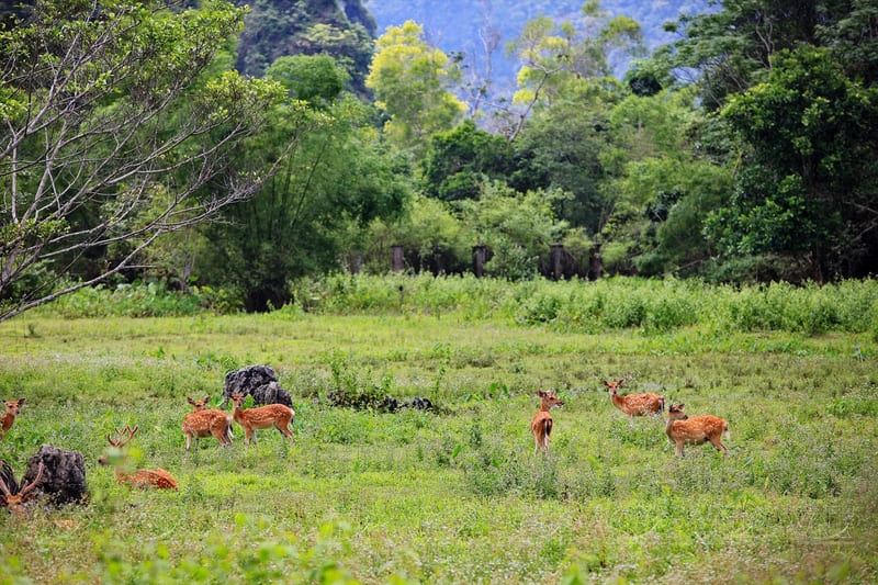 Se ressourcer au Parc national de Cat Ba
