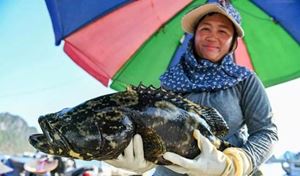 Typhon Yagi au Vietnam - Mise à jour