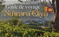 Guide complet de Nuwara Eliya : sites, météo et infos pratiques