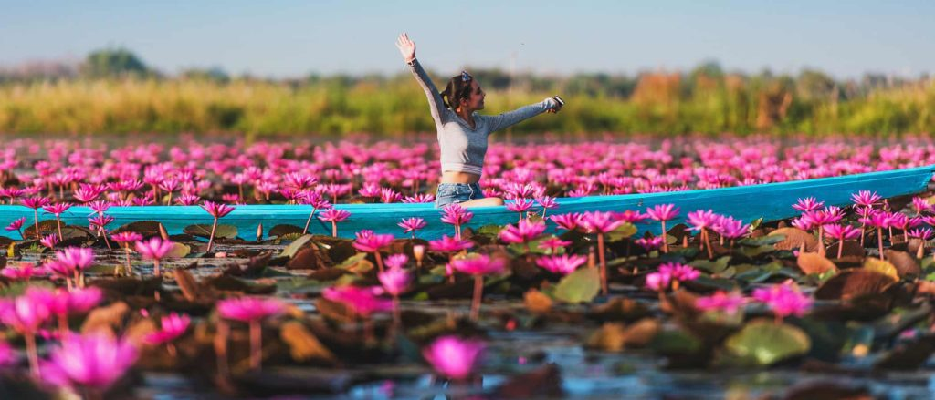 Guide des saisons de floraison en Thaïlande