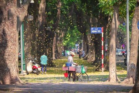 Le Vietnam est-il dangereux pour les touristes ?