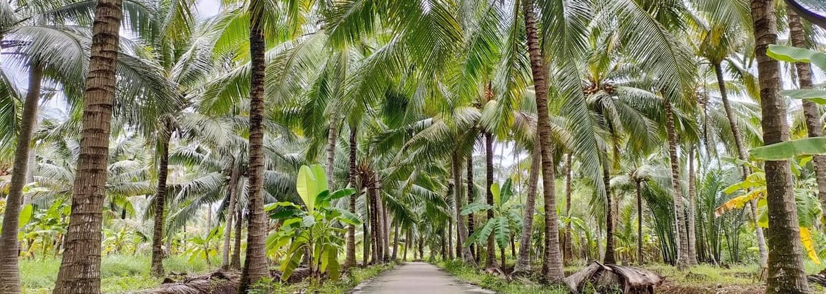 Ben Tre ou Can Tho ? destinations incontournables du delta du Mékong