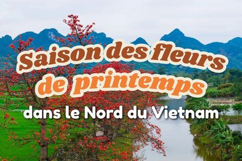 Explorez la saison des fleurs de printemps dans le Nord du Vietnam