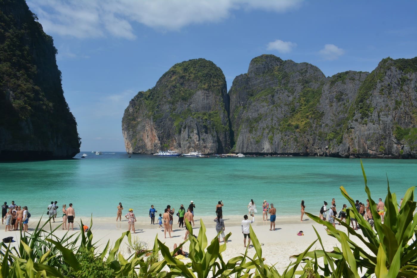 Îles Phi Phi : Guide complet et avis à travers les expériences vécues sur place