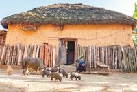 Lart de bâtir en terre: Les maisons Trình Tường, un héritage vivant