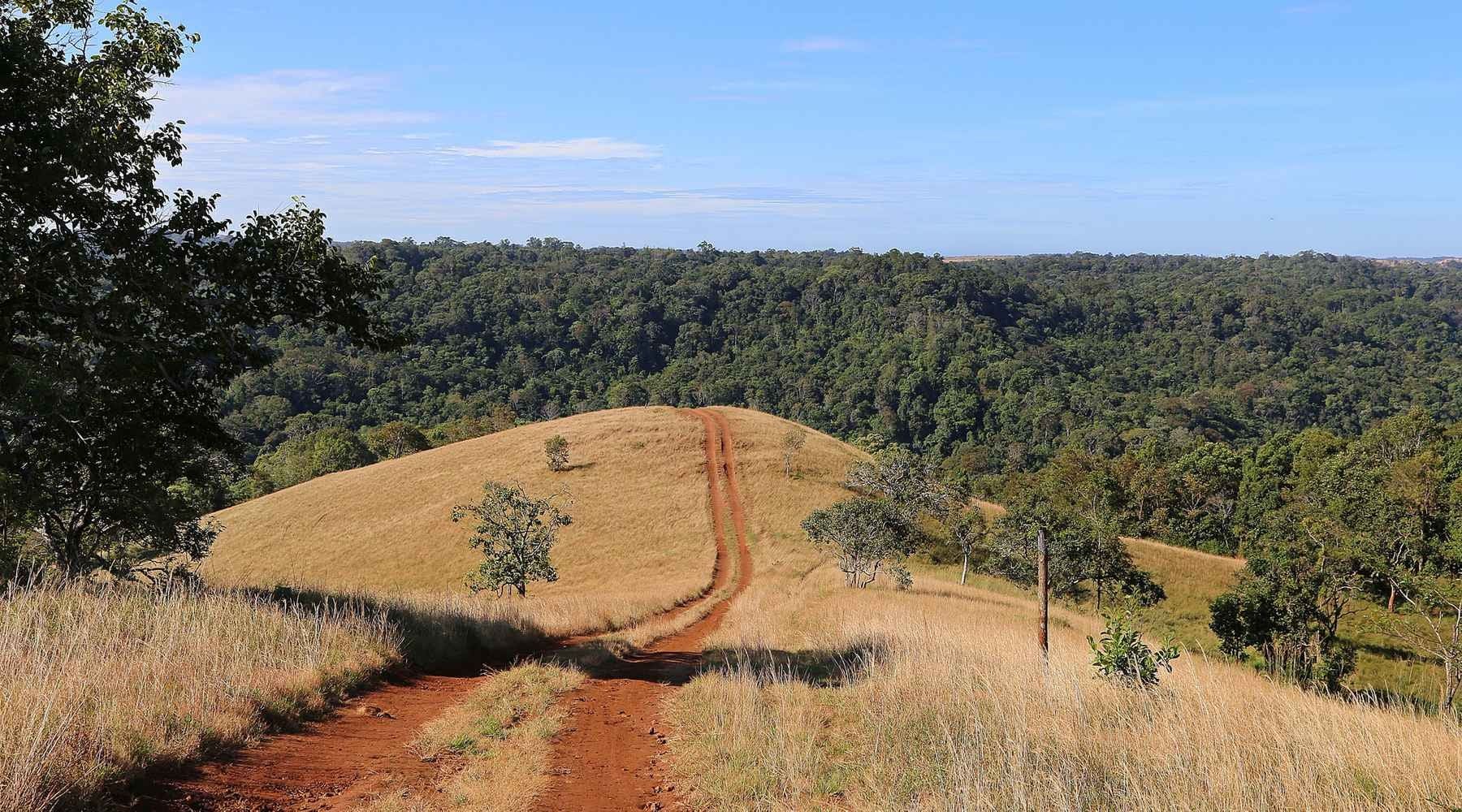 Trekking au Cambodge : Ne partez pas avant d’avoir lu ce guide complet