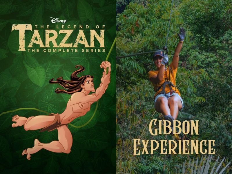 Gibbon Experience : Votre aventure dans la jungle sauvage du Laos