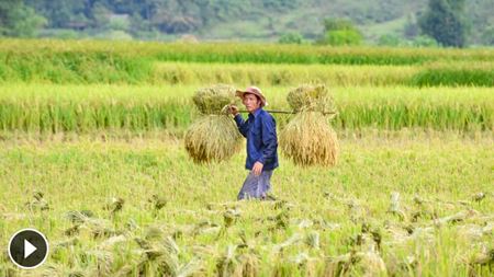 Météo Vietnam en mai et meilleurs sites à visiter