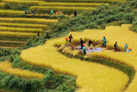 Vietnam en septembre: Beauté automnale à couper le souffle