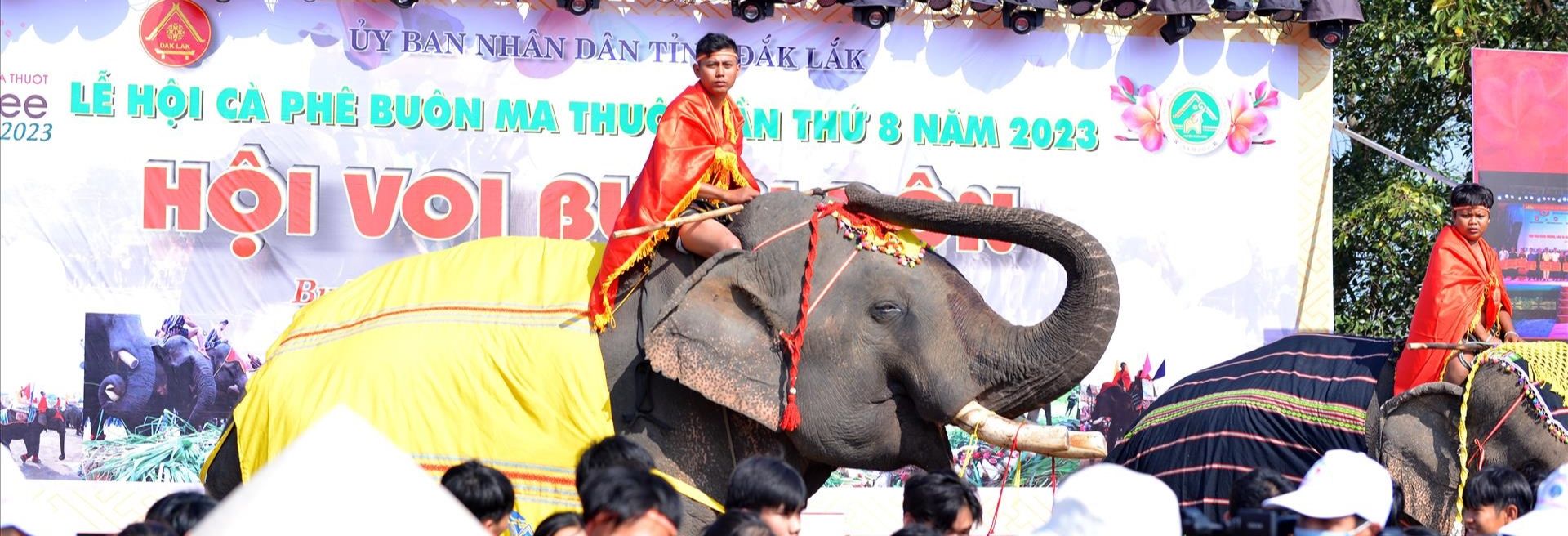 Le Festival des Éléphants dans les Hauts Plateaux du Centre, Vietnam