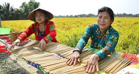 Histoire et culture des baguettes vietnamiennes