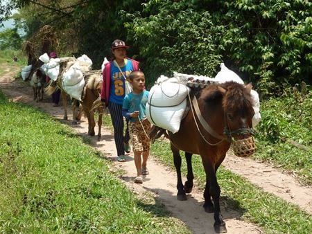 Bokeo au Laos : Guide complet pour explorer cette région paisible