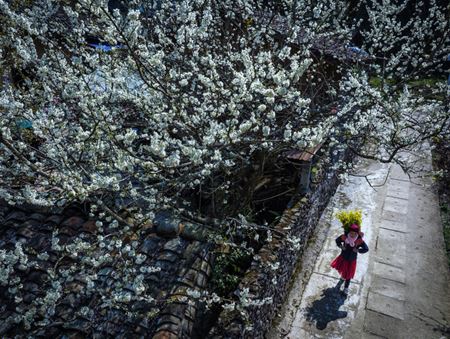 |PHOTOS| La magie de lhiver dans la boucle de Ha Giang