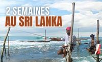 Sri Lanka en 2 semaines : Récit de voyage et conseils pratiques pour un voyage réussi