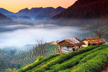 Comment se rendre de Bangkok à Chiang Mai ?