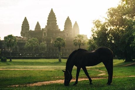 Envie de voyager en Asie cet août ? Découvrez 5 destinations incontournables !