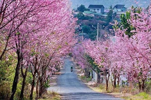 Dalat, une station climatique et un héritage colonial dans les tropiques