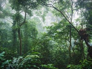 Cuc Phuong est le Meilleur parc national dAsie en 2024