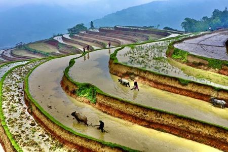 Yen Bai Vietnam: à la découverte de chaque recoin avec un guide local