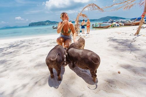 Bangkok - Koh Samui : Guide le plus clair pour novices en Thaïlande