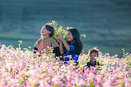 Itinéraire Vietnam en 10 jours, entre patrimoine et nature