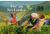 Thé au Sri Lanka: Ce qui le rend mondialement renommé ?