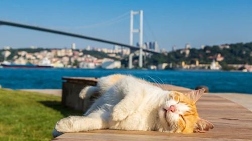 Où partir en Asie en mars : 6 idées de voyage pour vivre un mois inspirant