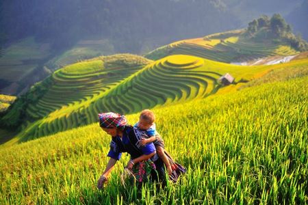 Mu Cang Chai : Guide COMPLET pour votre voyage inoubliable