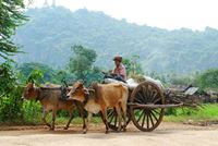 Le charme secret de Battambang: un guide essentiel