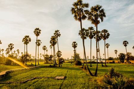 Voyager 10 jours au Cambodge : que voir et comment organiser son séjour ?