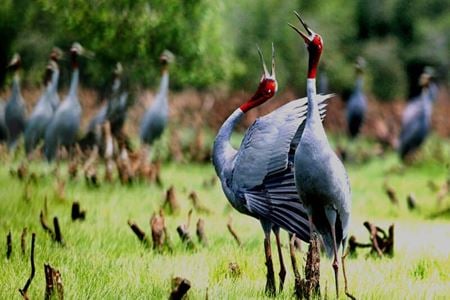 Visiter le parc national de Cuc Phuong: le guide complet 2024