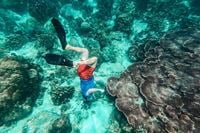 Koh Tao, Thaïlande : Guide complet avec conseils dun local