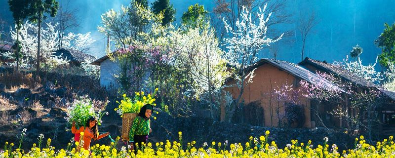Quelle est la meilleure période pour partir au Vietnam et Cambodge?