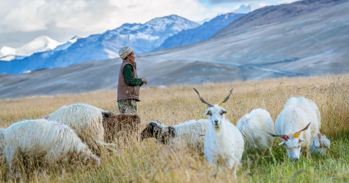 En novembre, envie d’ailleurs ? Et si vous partiez en Asie ?