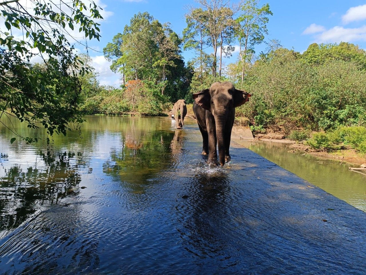 Parcs nationaux du Vietnam : les 9 à connaître