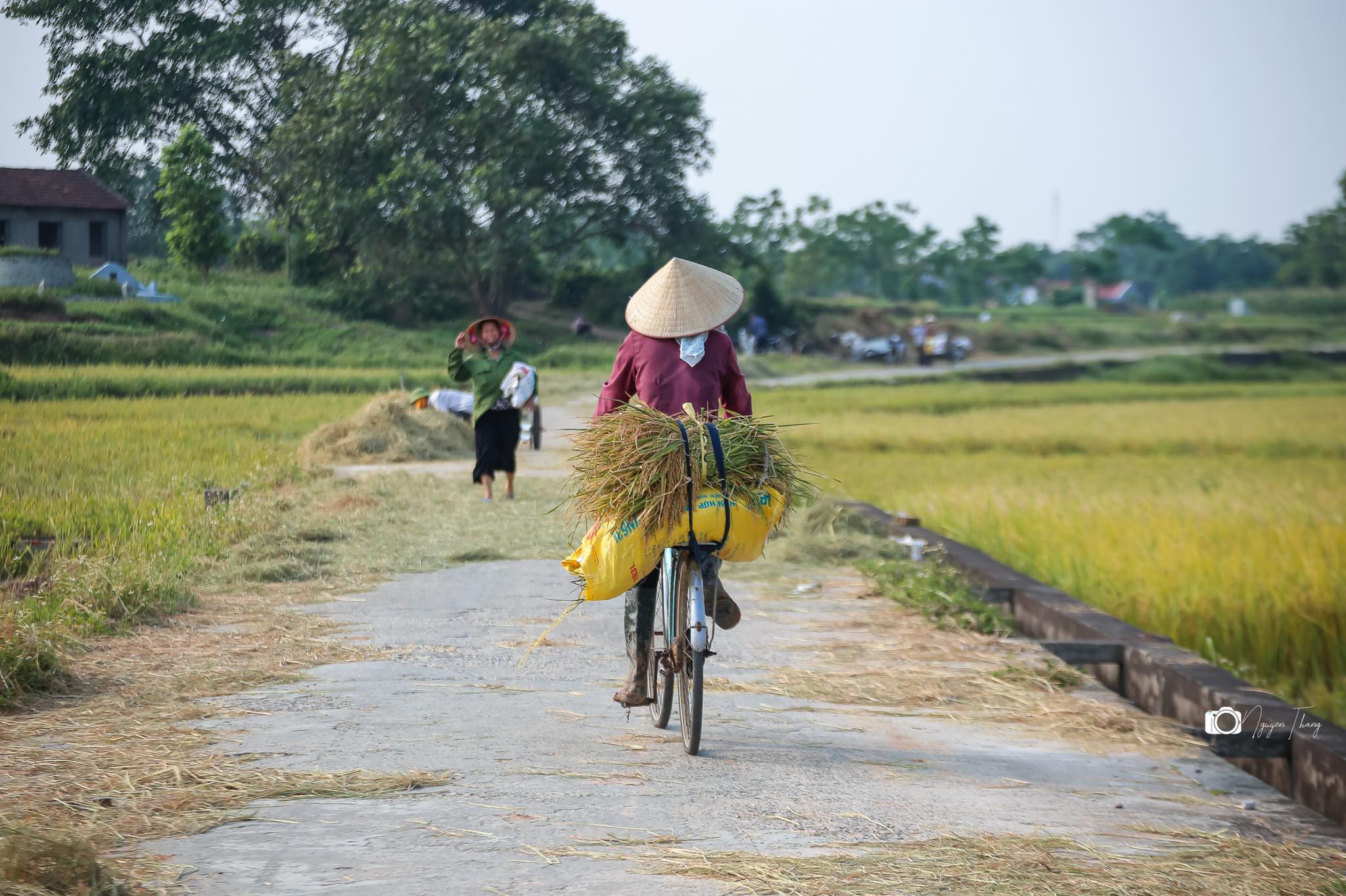 Lancien village de Duong Lam :  immersion dans la vie villageoise du Nord