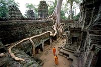 Ta Prohm : Le temple mystérieux sous létreinte des racines géantes