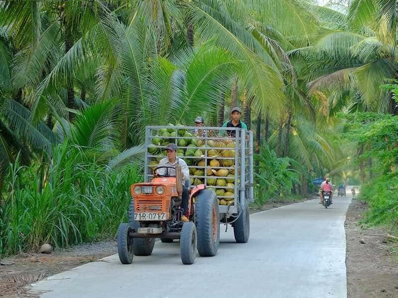 Ben Tre ou Can Tho ? destinations incontournables du delta du Mékong